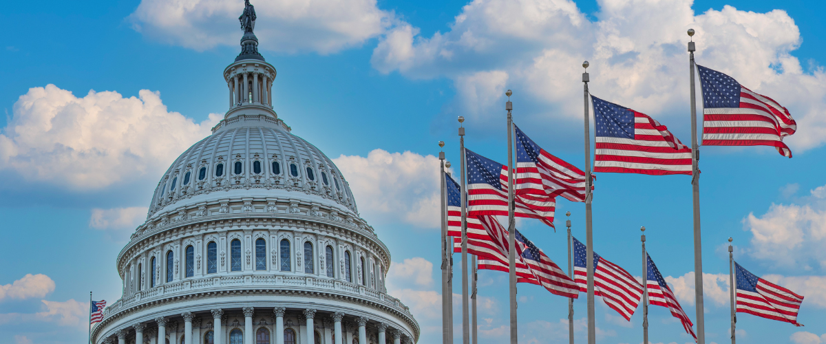 Federal government IT contractor team supporting CMS, IRS, and DoD modernization programs